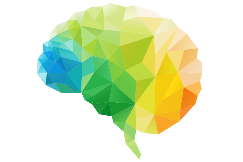 brain_small